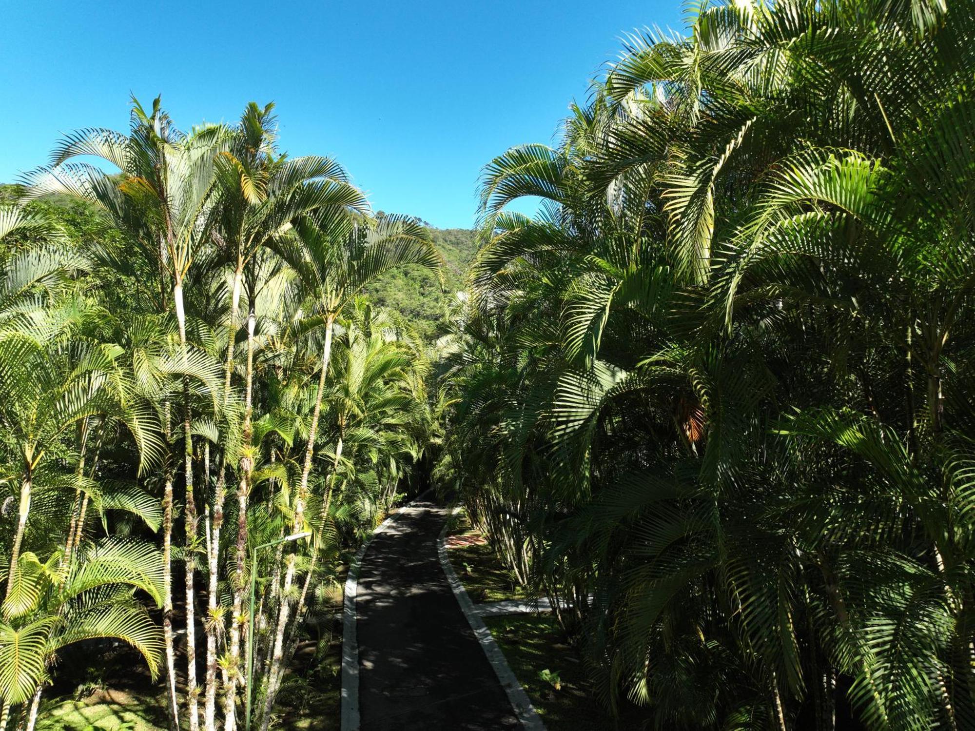 Hotel Rio Perlas Spa&Resort Cartago Exterior foto
